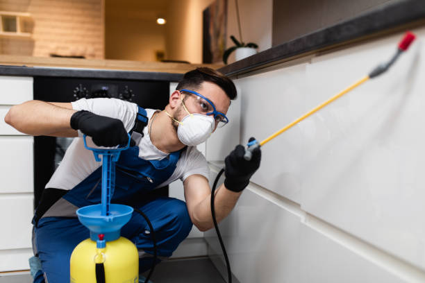 Best Termite Control Services  in Gateway, AK