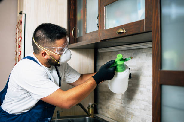 Best Wasp Removal Services  in Gateway, AK