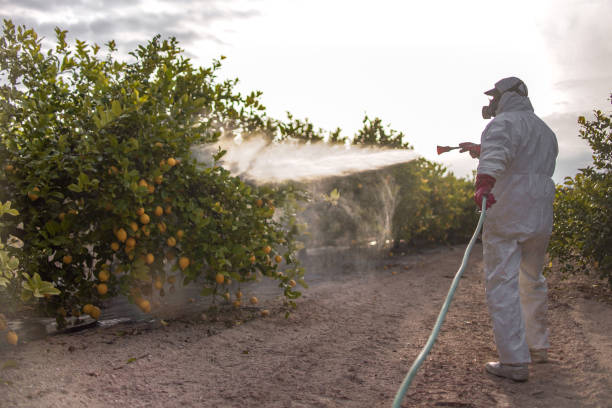 Insect Control in Gateway, AK